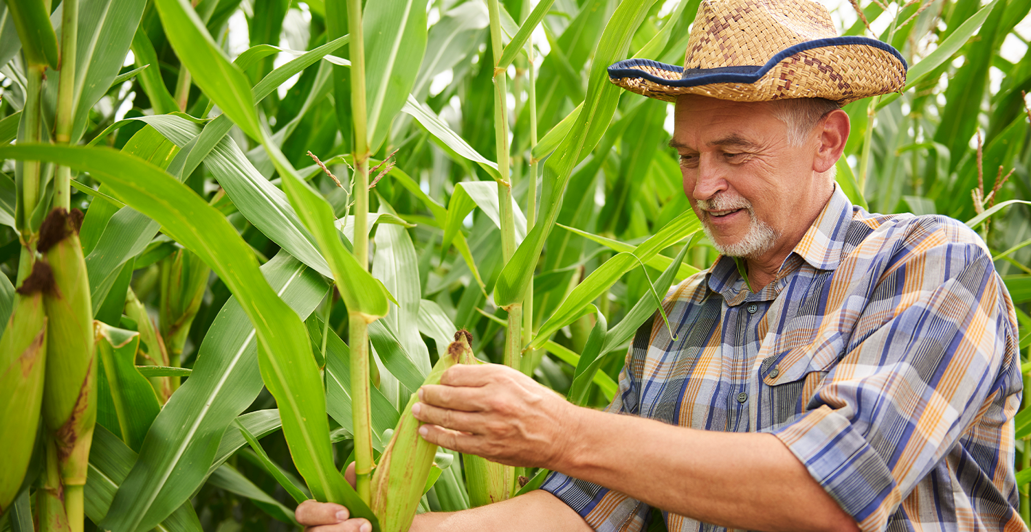 No momento, você está visualizando IR: PL cria tabela para quem trabalho no campo