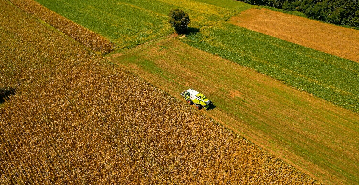 Leia mais sobre o artigo Reforma Tributária: como o agronegócio pode pagar menos impostos